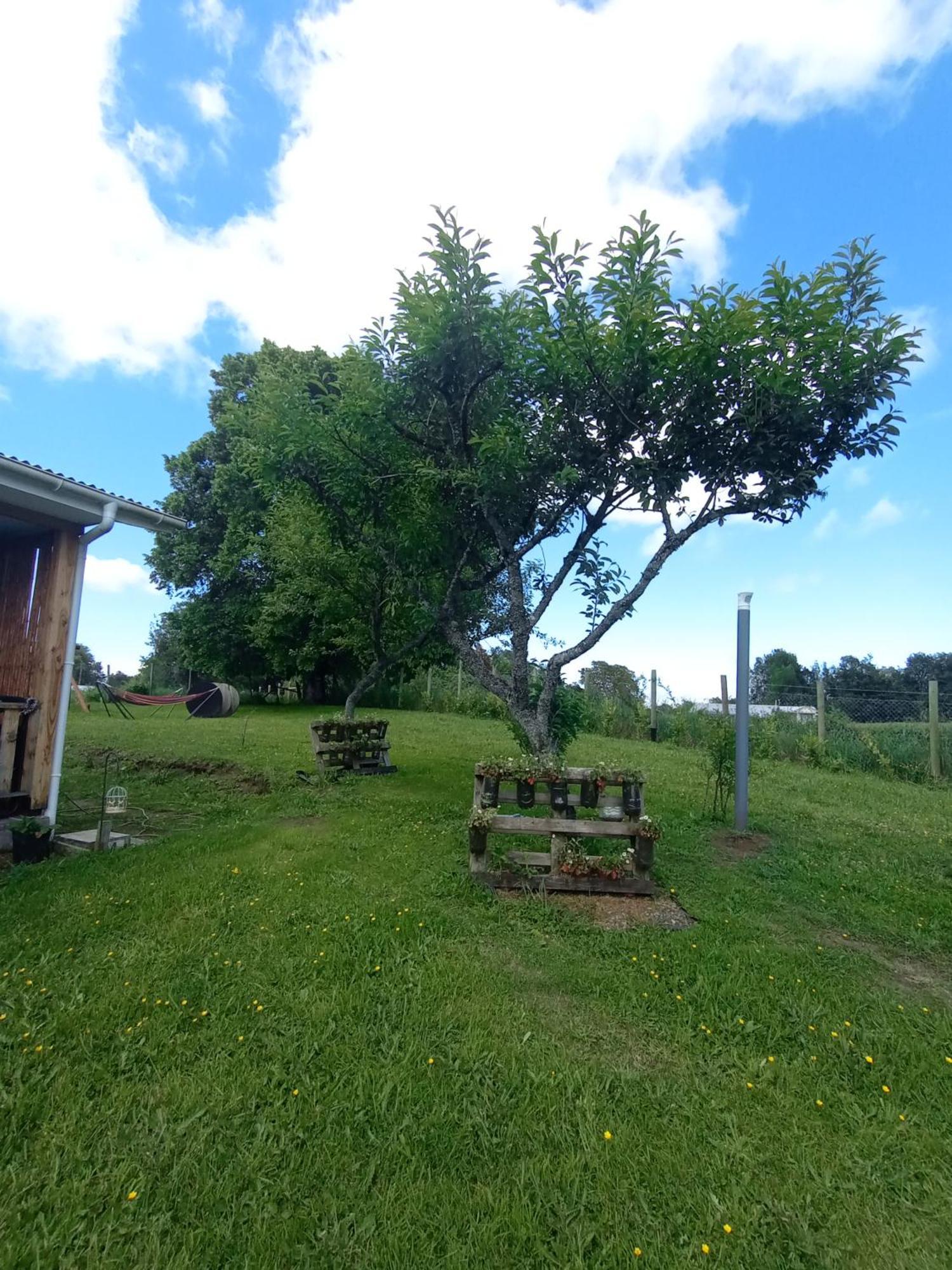 Cabanas Aliwen Villa Ñilque Buitenkant foto